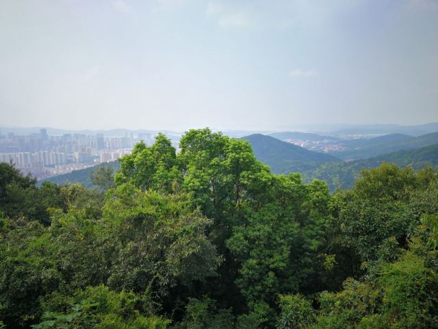 江南第一山无锡门票,无锡惠山古镇的江南第一山有什么
