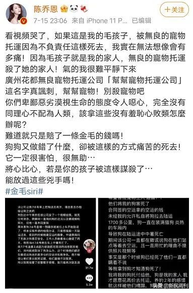 金毛被空运转为陆运,空运改陆运金毛事件