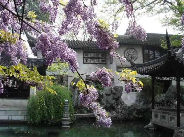 苏州四大古典名园之拙政园,江南古典园林代表苏州拙政园