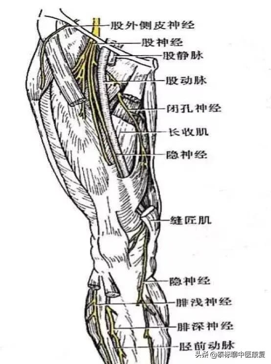 膝关节增生疼痛偏方,四神煎治膝关节疼痛