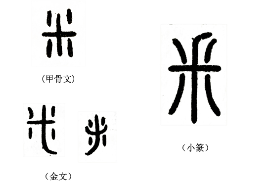 《说文解字》第124课：了解字义，“釆”和“采”就不会搞混了