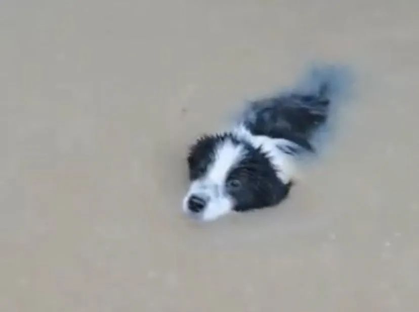 150个西湖倒灌郑州，“今天我不敢看河南人的朋友圈”