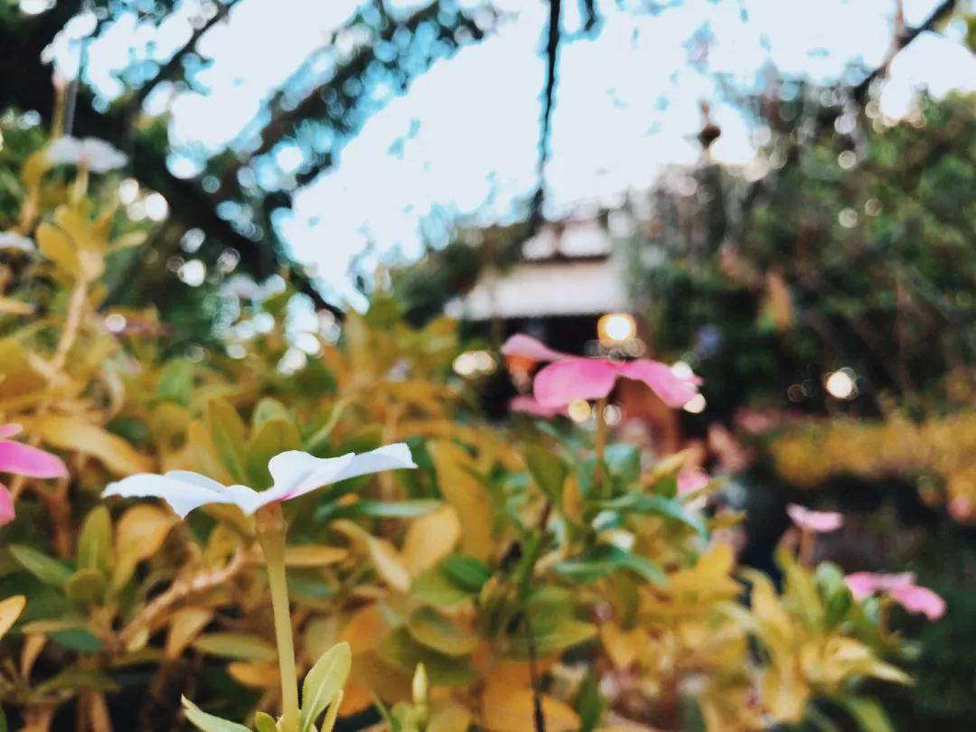 曼谷必买，清迈必玩，二刷泰国经验帖带你避坑