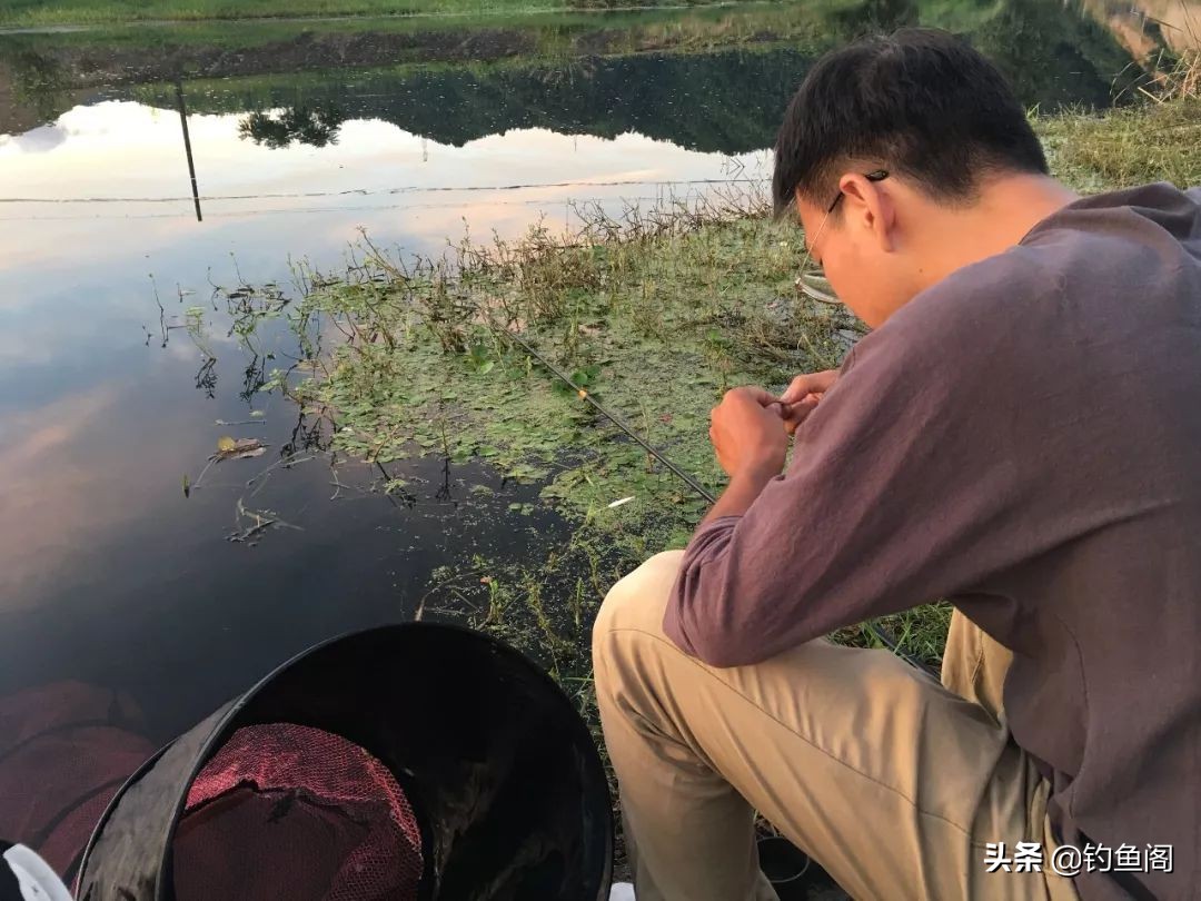 钓鱼的7大害处是什么,钓鱼的5个禁忌有哪些呢