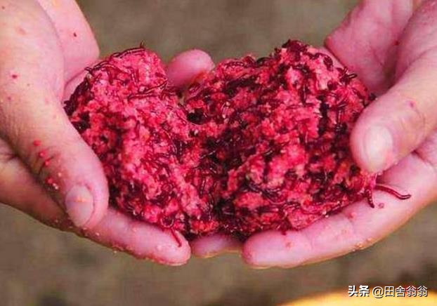 自制钓鱼爆炸钩饵料配方大全,钓鱼饵料爆炸钩使用教学配方