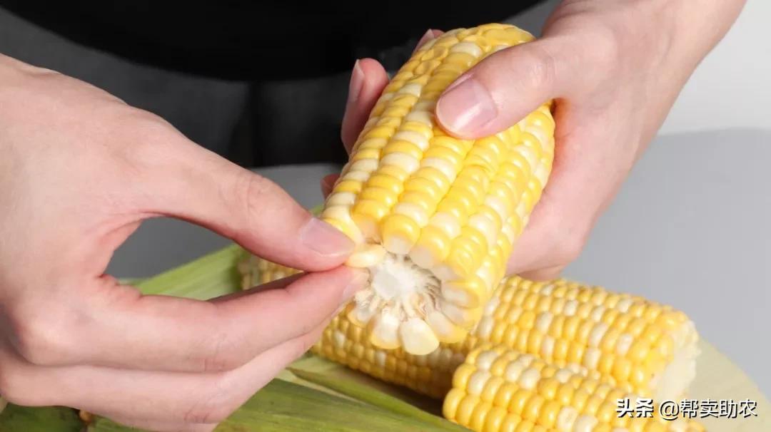 正宗爆浆水果玉米,甜脆水果玉米爆浆