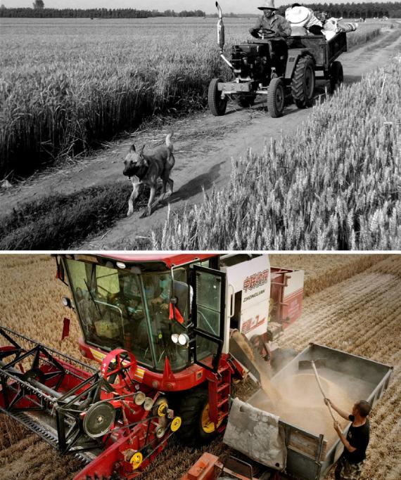 大国粮仓纪录片多长时间,大国粮仓纪录片黄金根