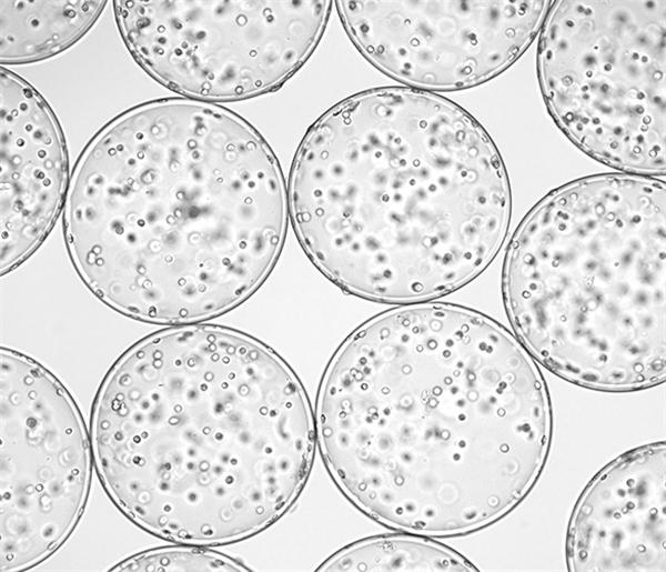 长期喝茶对血糖有哪些好处和坏处,喝茶控制血糖