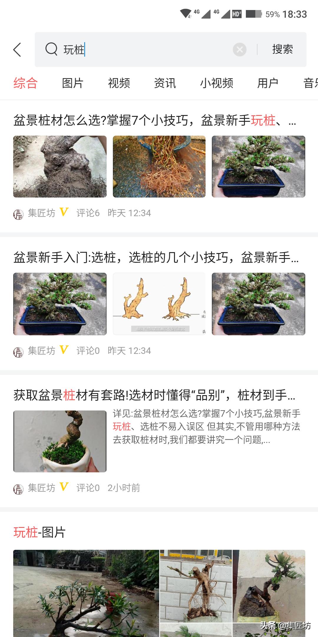 盘点五大树桩盆景流派和常用树种,盆景初学者种什么好