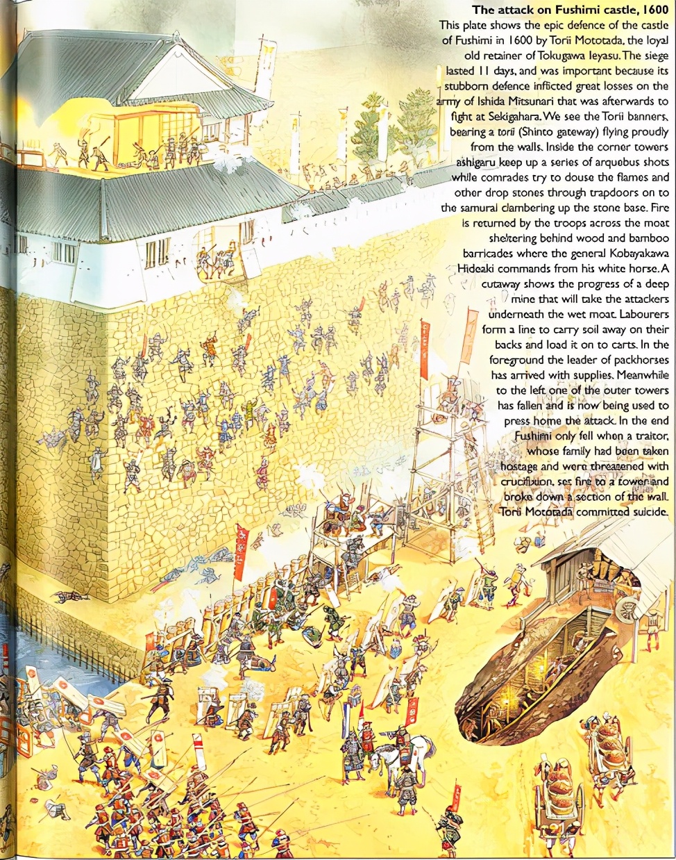 日本魔法城堡,日本城堡和欧洲城堡