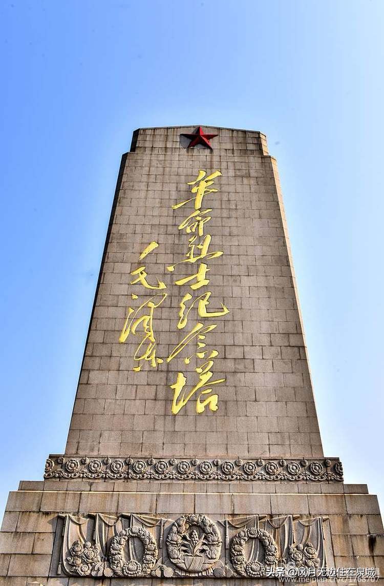 济南的法国梧桐,济南梧桐树美景