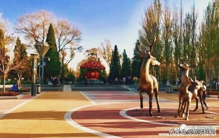 现在包头的现状,包头鹿城改成马城了吗