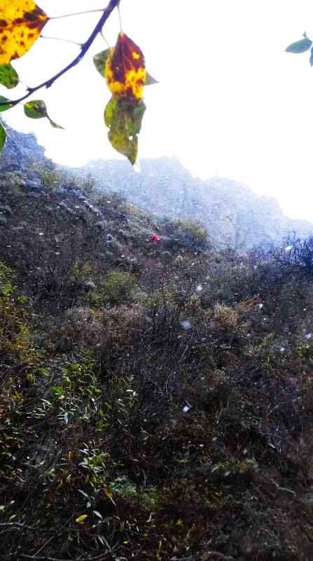 带上UL从狼塔C回家