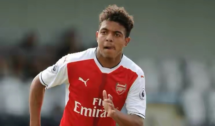 阿森纳天才爱德华多之殇,阿森纳离别亨利