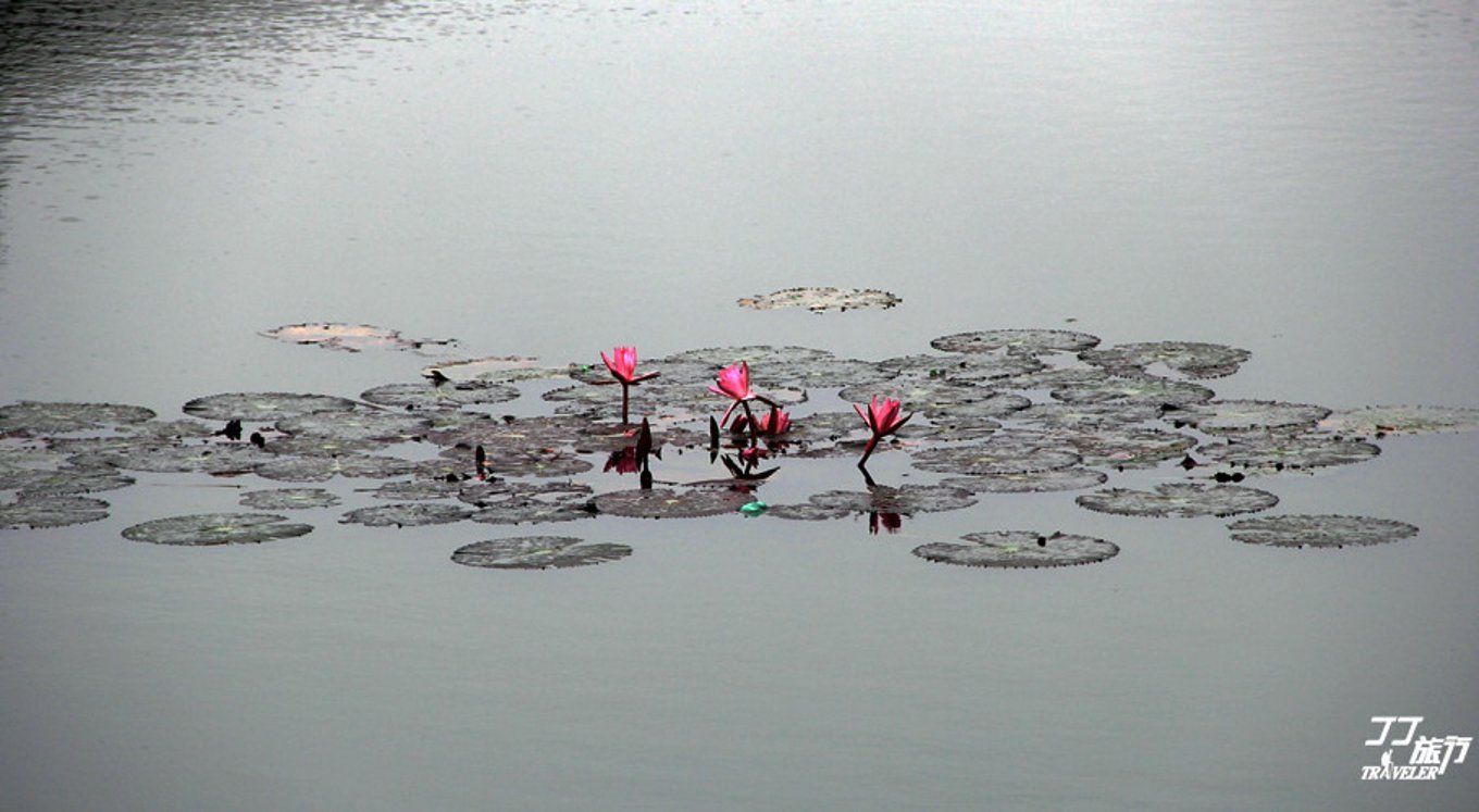 如何形容海上的游轮,描述海上邮轮的感觉