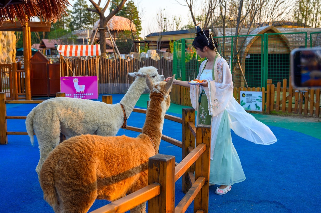 走进南京高淳,打卡网红打卡地固城湾景区,品尝固城湖螃蟹