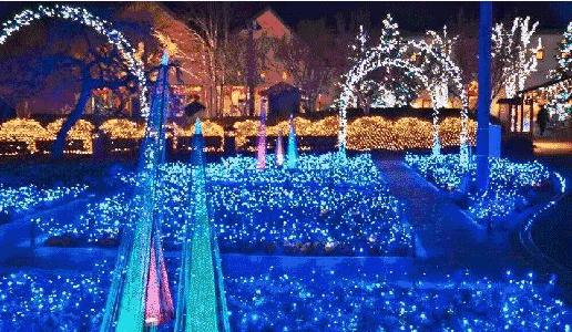 潍坊海上明珠优惠票,潍坊海上明珠乐园首届北极光之夜