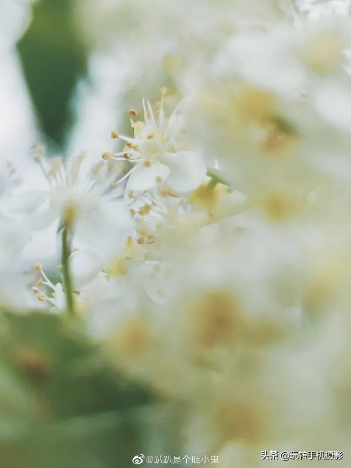 小米手机的遗憾之作,小米手机真香内行人都推荐这三款