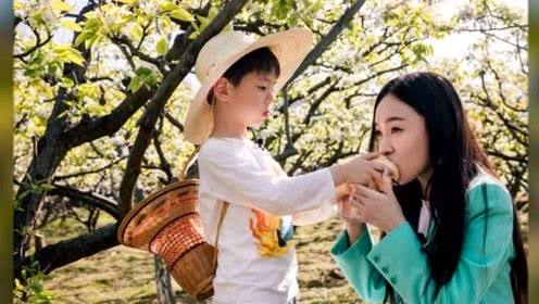 家长这些行为毁了孩子专注力,家长哪些行为毁掉了孩子注意力