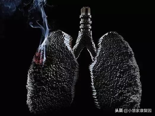 长期抽烟怎么能让肺变好,长期吸烟教你一招清肺解烟毒