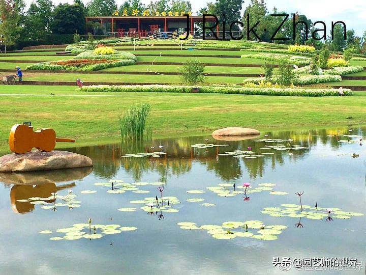 怎样种植草坪技术,果岭草坪的种植养护方法及技巧