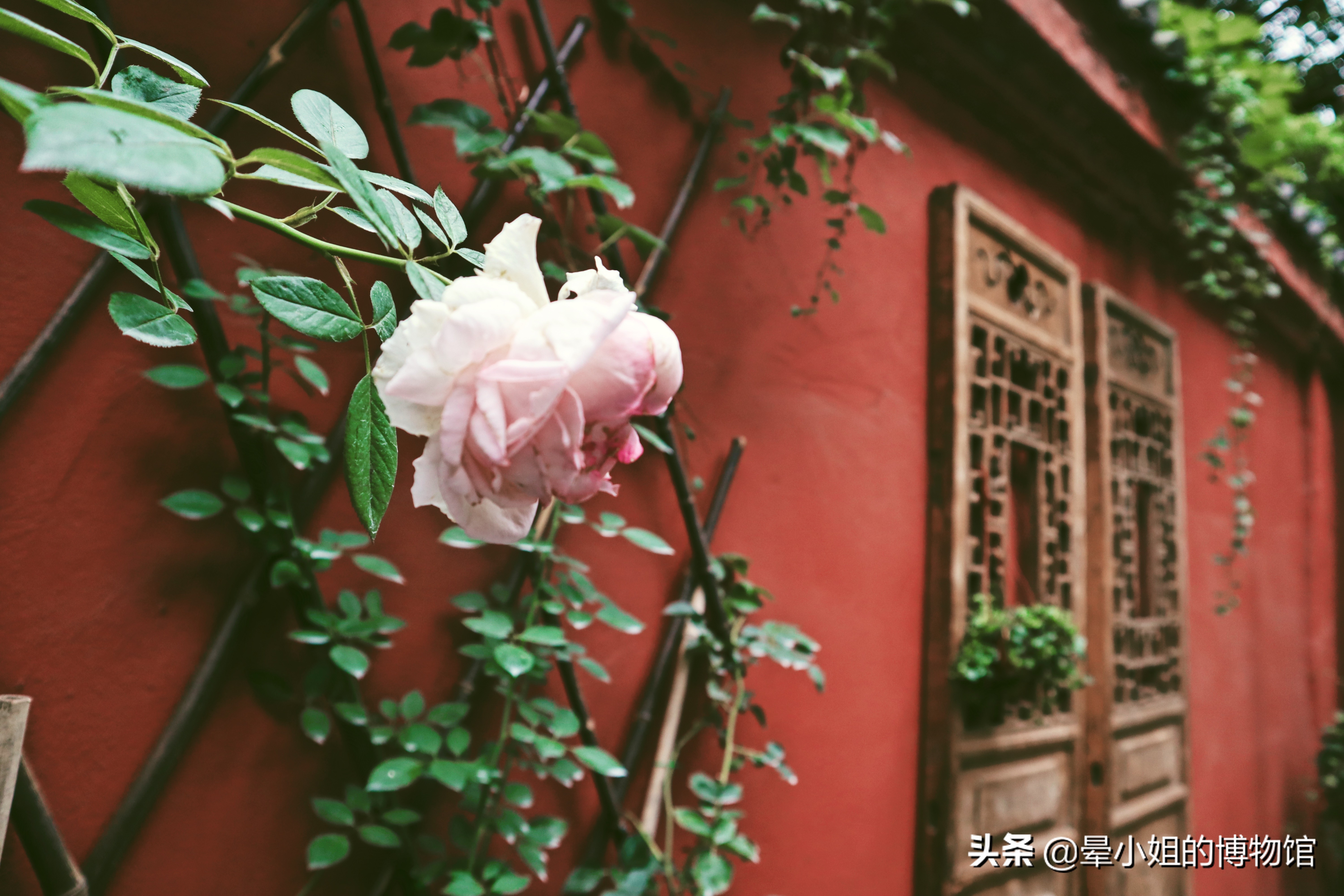 文殊院禅林圣迹,中国四大禅林文殊院