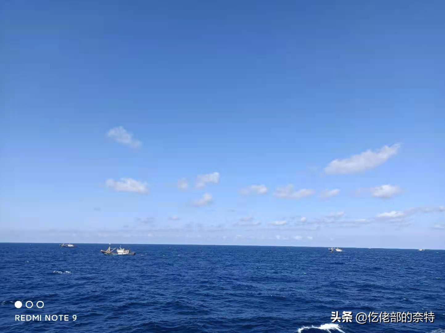 船舶的繁琐的文书工作造就电脑高手船长CEO