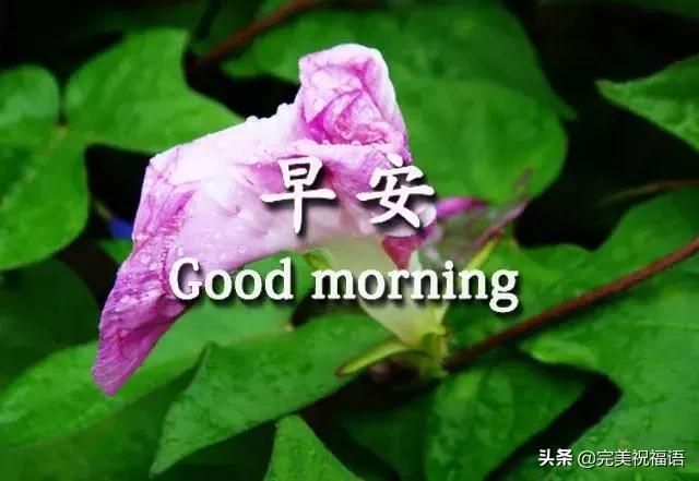 早安手机短信,发给朋友早上好短信