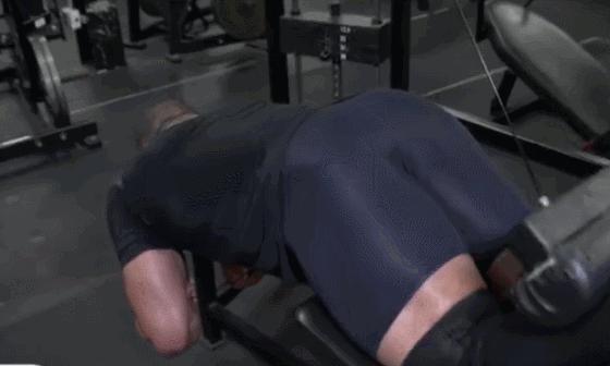 促睾腿部训练,腿部训练动作大全健身房