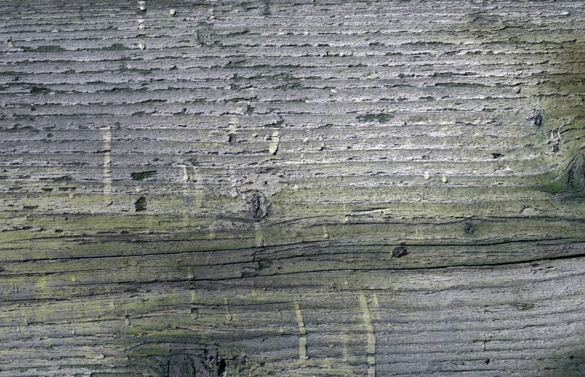 设计师福利模板,设计师必备100件用品