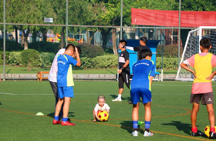育新足球俱乐部2024暑假班,亲子足球嘉年华圆满落下帷幕