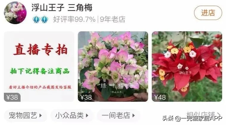 春天花会开|这20家植物淘宝店，植物杀手看了也想买！