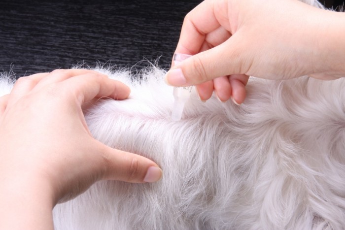 超可信跟大宠爱,超可信和大宠爱有什么区别