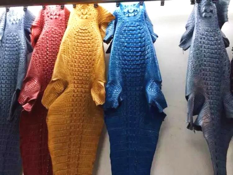 鳄鱼皮具真品图,鳄鱼皮具是真的吗