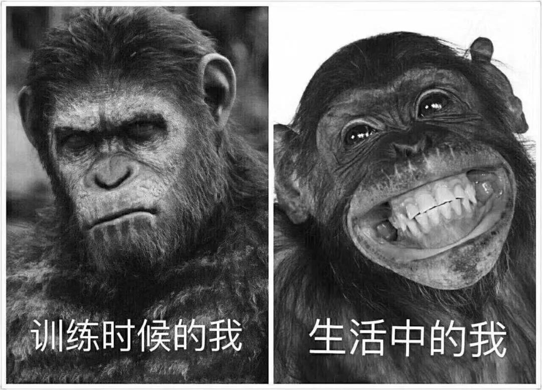 健身迷茫期是什么,健身训练迷茫了该怎么办呢