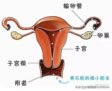 爽身粉对人体有害吗,用过期的爽身粉会中毒吗