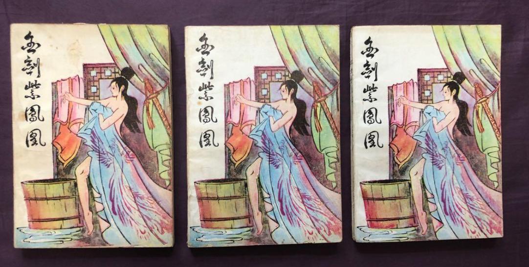 武林浪子，武林当铺，风流女魔梅超风：几部假冒金庸的武侠小说