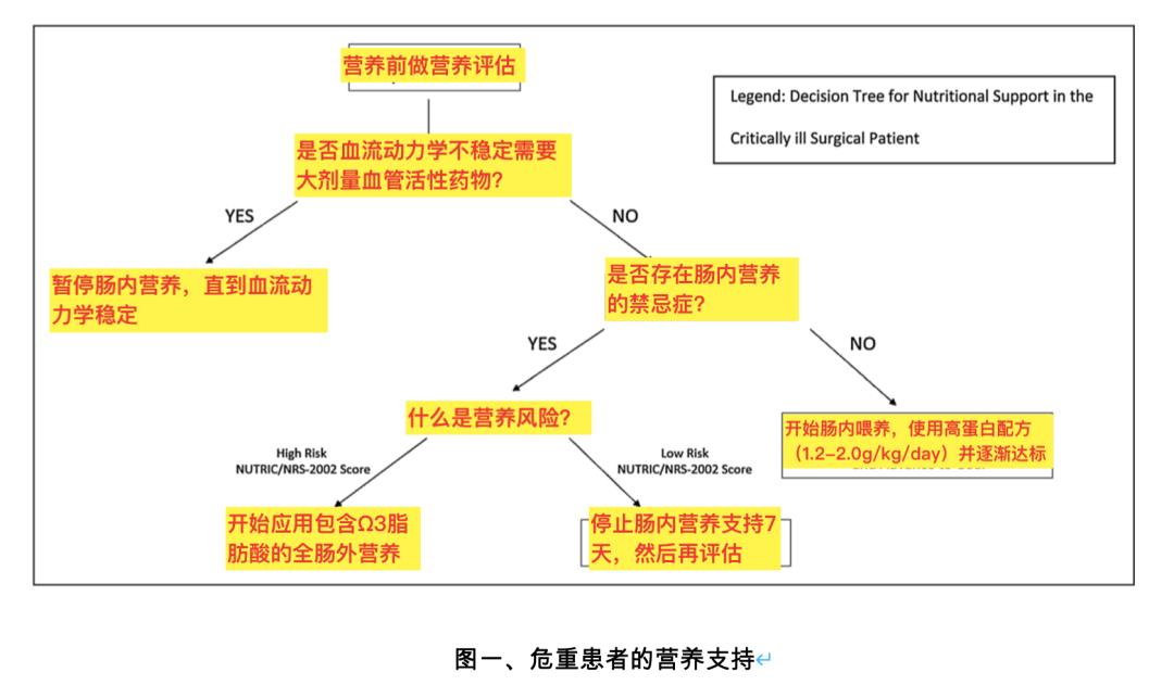 外科危重病人的营养治疗