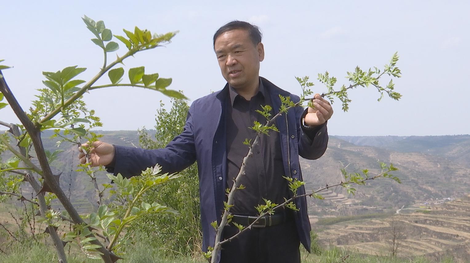 陕西三农农民合作社,陕西三家农民合作社