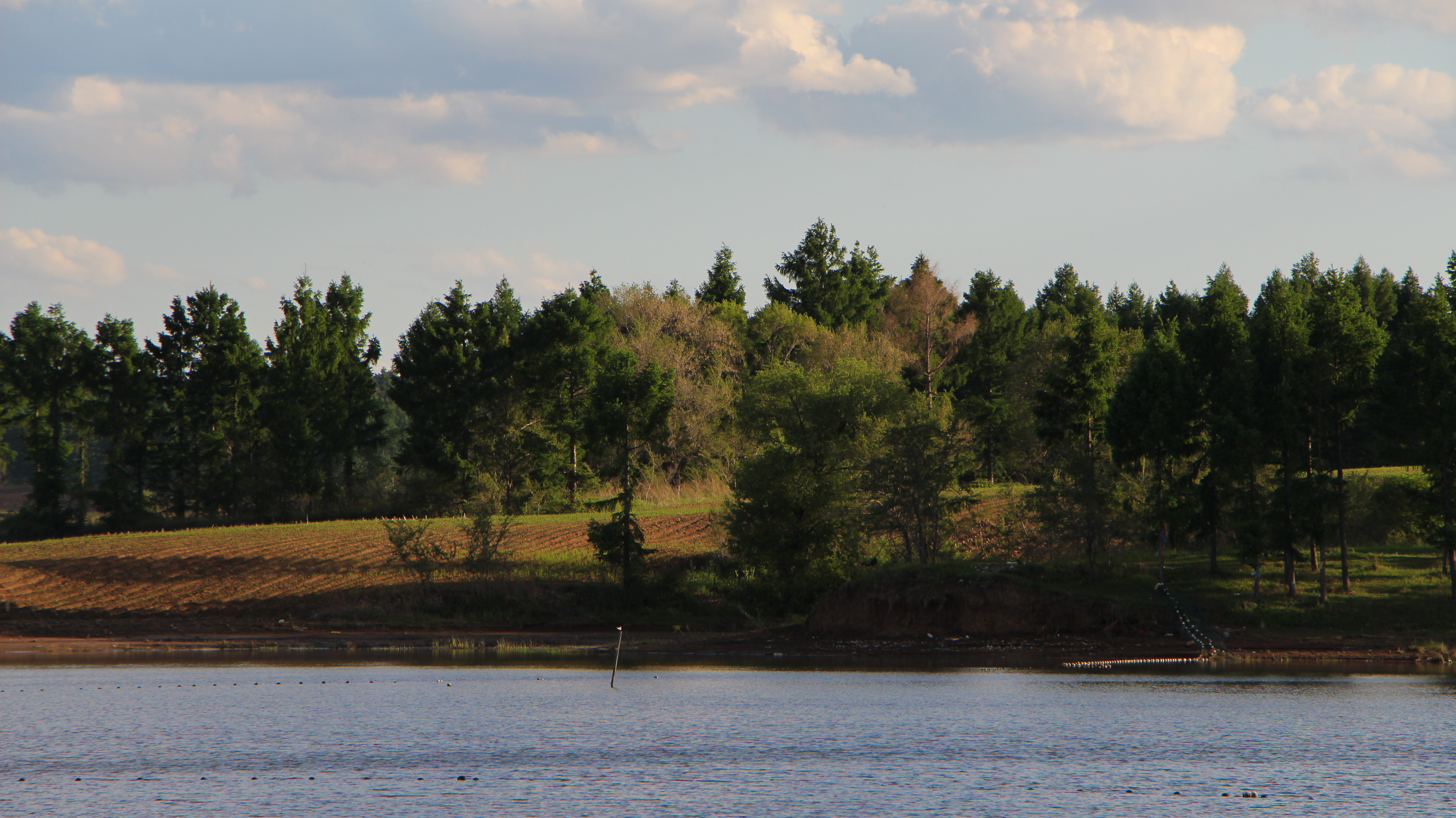 第一次钓这么大的鳜鱼,钓这么多鱼回家该不该挨骂了