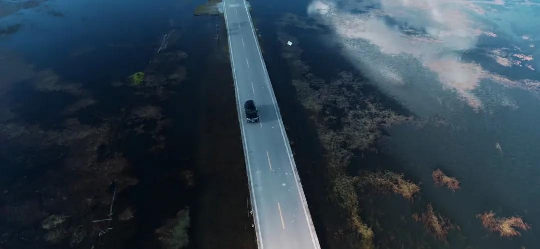 带你Get《司藤》同款神仙美景,春天的香格里拉这样玩