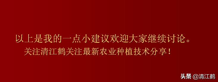 保果肥的最快解决方法,贪吃一口竟然带来这样的后果