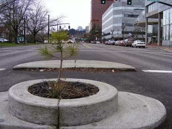 吉尼斯世界纪录最大的山体雕塑,吉尼斯世界最深的泳池