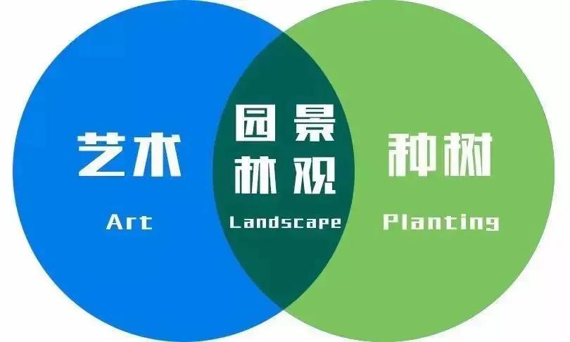 笑谈种树的艺术——看园林专业的魅力