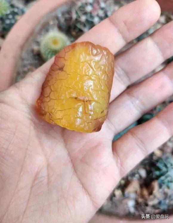 真正的蜜蜡是怎样的,特别迷恋蜜蜡