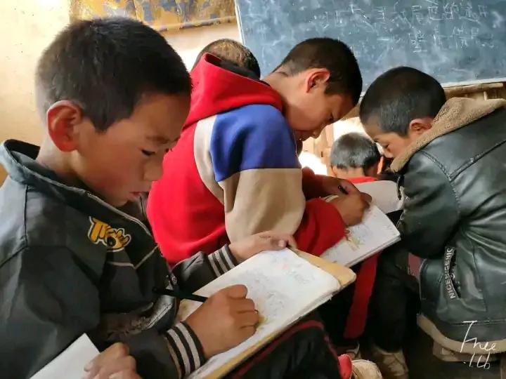 大学生去西藏支教的真实感受,真实的藏区支教