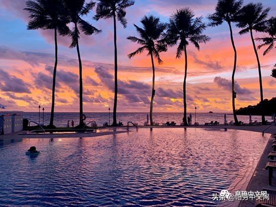 每个离开帕劳的人都会患上的“离岛综合症”