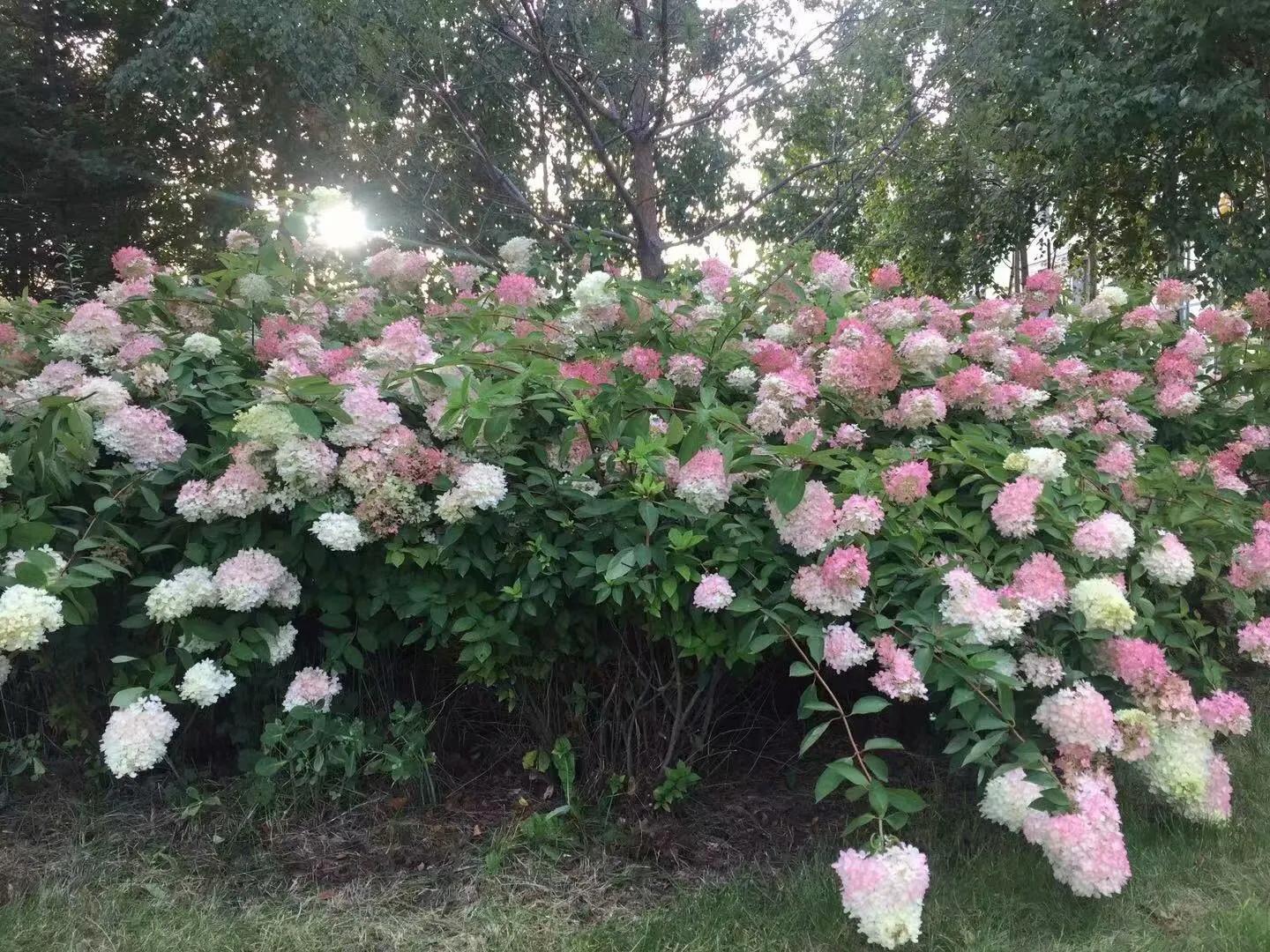 告别白河镇，来到松江河（44）