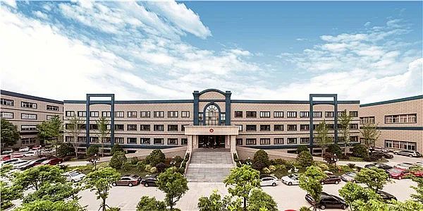 柳桥集团新消息,柳桥集团中报