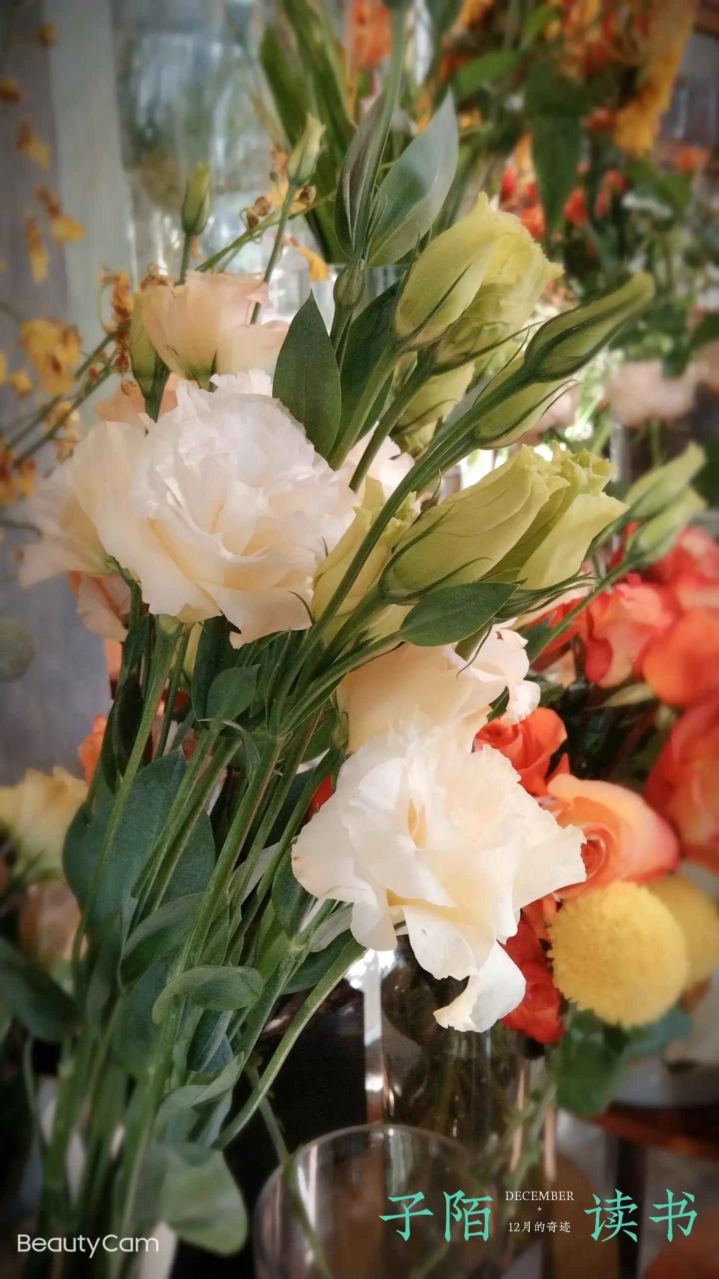 自己的花是让别人看的,自己的花是让别人看的教案